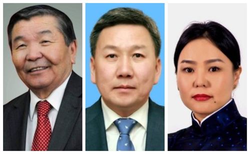 Ерөнхийлөгчийн шинэ ТОМИЛГОО