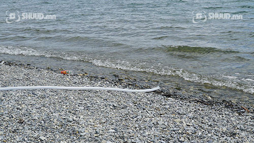 Голын усанд морьтойгоо живжээ