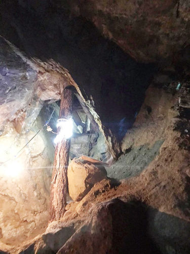 Хуурамч эх орончдод хувийн хэвшлээ хаядаг төр