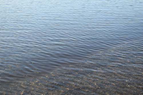 Хөвсгөл нуурыг бохирдуулсан амралтын газрын үйл ажиллагааг зогсоожээ