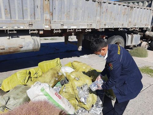Адууны хатаасан өлөн гэдэс, ургамлын үр хууль бусаар хил давуулахаар завдав