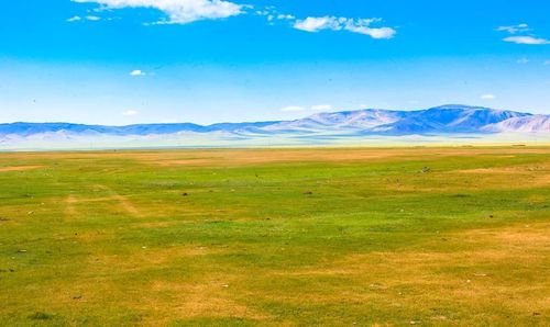 Хэрлэнбаян-Улааны отрын бүсийг “цэгцлэх” ажлын хэсгийг байгууллаа