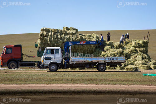 Аймаг, сумд өвс, тэжээлийн нөөцийг бэлтгэж, цэгүүдэд байршуулах шаардлагатай