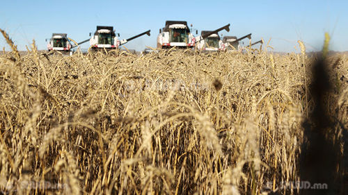 Тариалан эрхлэгчдийн улсын зөвлөгөөн болж байна