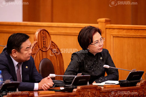 С.Одонтуяа: Сүүлийн үед хуулиуд маш чанаргүй орж ирж байна