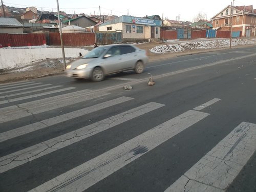 Дахин нэг хүүхэд гарцаар зам хөндлөн нэвтэрч яваад амиа алдав