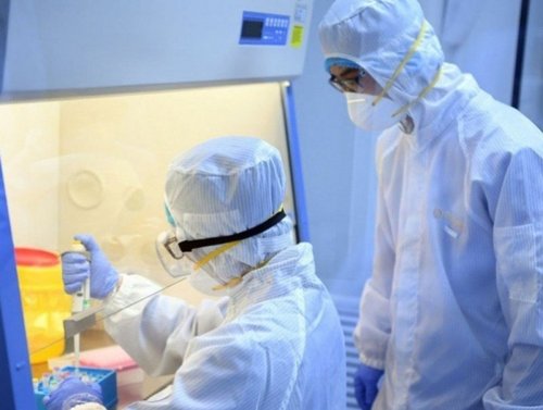 Шинээр 2737 тохиолдол илэрч, 10 хүн нас барлаа