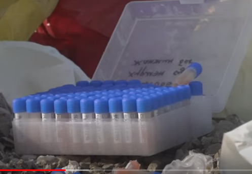 МХЕГ: Эмнэлгийн аюултай хог, хаягдалтай холбоотой мэдээллийг шалгаж байна