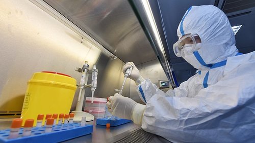 ДЭМБ коронавирусийн үүслийн талаар шинэ таамаглал дэвшүүлжээ