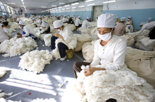 Шинжааны түүхий эдээс татгалзсан дэлхийн брэндүүдийг Хятад шахаанд орууллаа