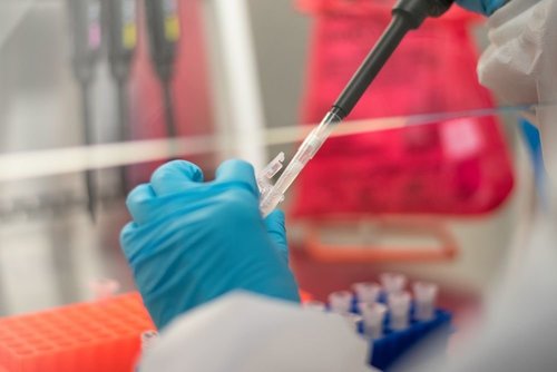 Чехд коронавирусийн шинэ штамм илэрчээ