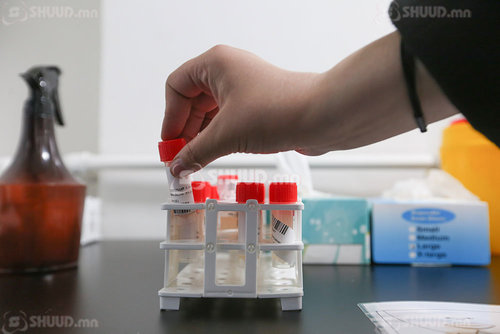 КОВИД-19: Улаанбаатарт 50, орон нутагт 17 халдвар бүртгэгдлээ