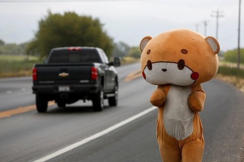 Сайн үйлсийн төлөө 643 км замыг баавгайн хувцастай явган туулна