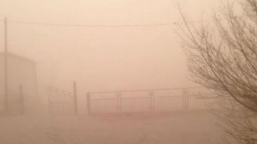 Ойрын өдрүүдэд ихэнх нутгаар салхи, шуургатай байхыг анхааруулж байна