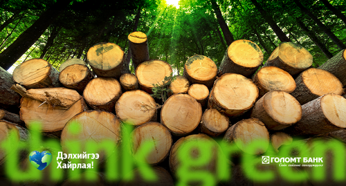 Дэлхий дээр нэг ч мод байхгүй бол юу болох вэ?