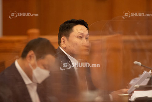 Хурдан морины үүлдэр угсааг тогтоох ажлын хэсэг байгуулах хүсэлт гаргалаа