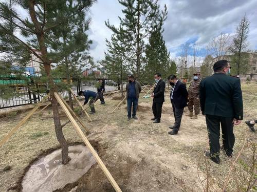 Батлан хамгаалах яамны гаднах талбайд 50 ширхэг нарс мод суулгалаа