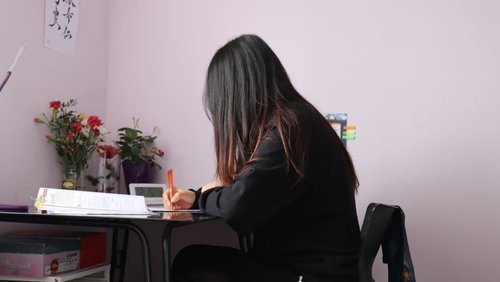 Монгол охин Францаас хөөгдөх болсныг сургуулийн захиргаа нь эсэргүүцэж байна