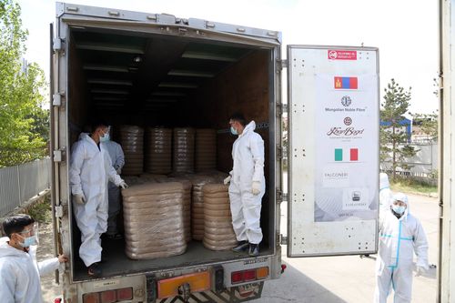 Монгол ноолуурыг Итали улс руу анх удаа газраар тээвэрлэлээ