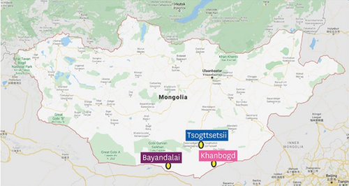 Монголын говийн хүүхдүүдийн биед хүнд металл агуулагдаж байгаа нь тогтоогджээ