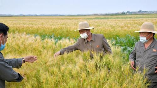 Хойд Солонгост нэг ч халдвар илрээгүй 