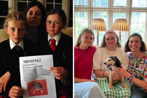 Алга болсон нохой нь 11 жилийн дараа эзнээ олжээ