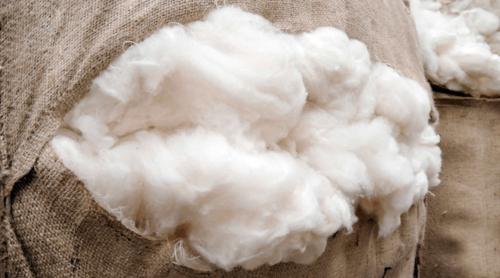 Малчид дараах ААН-д ноосоо тушааснаар урамшуулалд хамрагдана