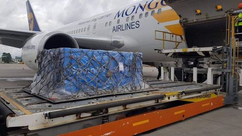 Спутник-V вакцины 20 мянган тунг хүлээж авлаа