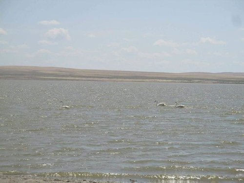 Гүрмийн нууранд найман настай хүүхэд энджээ