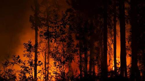 Оросын түймрийн утаа Монголыг бүрхэв