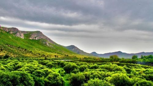 Нийт нутгийн 70 гаруй хувьд зуншлага хэвийн байна