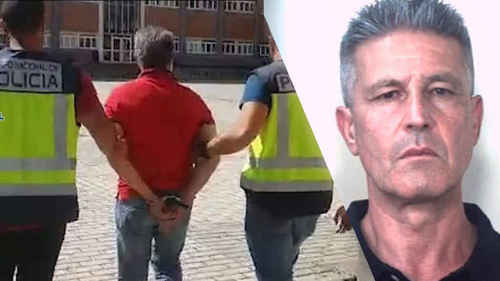 Италийн мафийн толгойлогч баривчлагдаж, асар том сүлжээ задрав