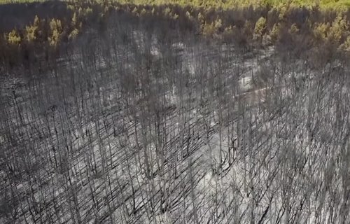 Түймрийн улмаас Грек 30 жил тохиогоогүй их хохирол амсжээ