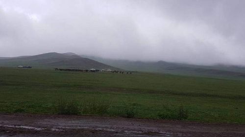 Өнөөдөр Алтай, Хангай, Хөвсгөл, Хэнтэйн уулархаг нутгаар дуу цахилгаантай аадар бороо орно