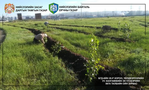 Нийслэлийн хэмжээнд 105 га талбайг нөхөн сэргээлээ
