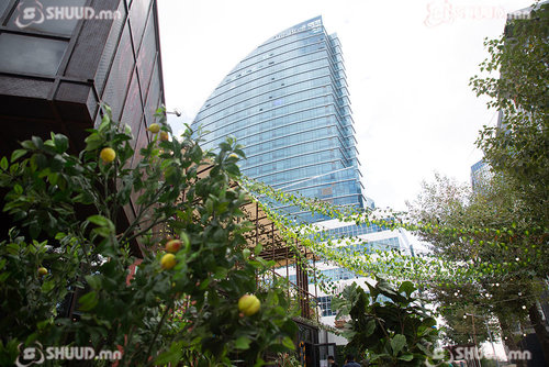 Улаанбаатарт 31 хэм дулаан байна