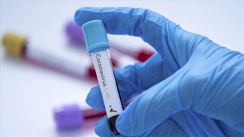 ДЭМБ: Коронавирусийг үндсээр нь устгах боломжгүй