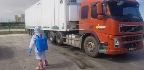 25 тонн тахианы махыг устгажээ