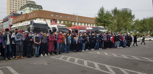 МУБИС-ийн багш, оюутнууд ургац хураахаар Жаргалантыг зорилоо 