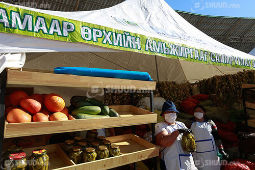 ФОТО: Намрын ногоон ӨДРҮҮД