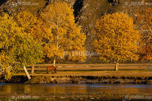 Цаг агаар: Аравдугаар сард олон жилийн дундажаас дулаан байна
