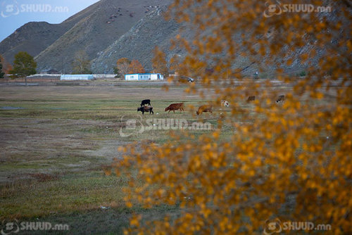 Улаанбаатарт 10 хэм дулаан байна