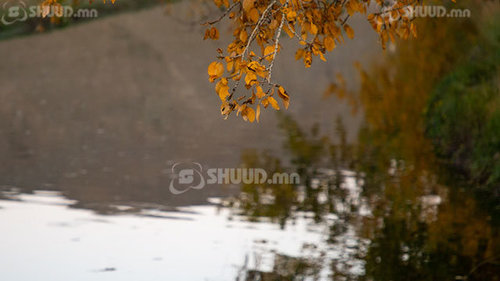 Нутгийн баруун хэсгээр бага зэрэг дулаарна