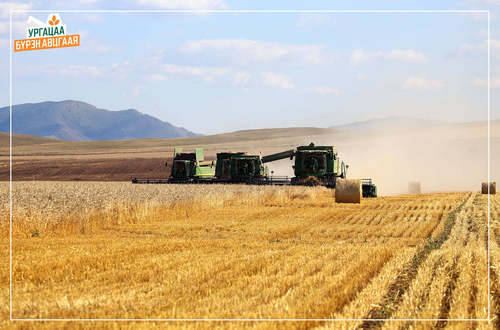 Үр тарианы 18 хувь, хүнсний ногооны 57 хувийг хураагаад байна