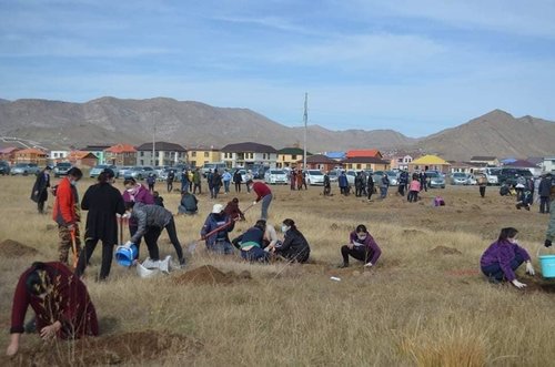 Завхан аймаг 20 сая мод тарина 