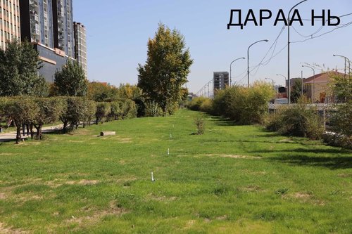 Барс захын арын цэцэрлэгт хүрээлэнг зүлэгжүүллээ