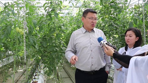 Ж.Эрхэмбаяр: Бидэнд нарийн ногооны дотоодын хэрэгцээг 100 хувь хангах боломж бий