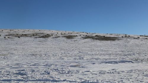 Баян-Өлгий, Хөвсгөл, Баянхонгорын нутгаар 5-15 см цасан бүрхүүл тогтжээ