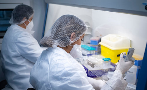 Коронавирусийн шинэ, аюултай хувилбар гарсныг эрдэмтэд сэрэмжлүүллээ