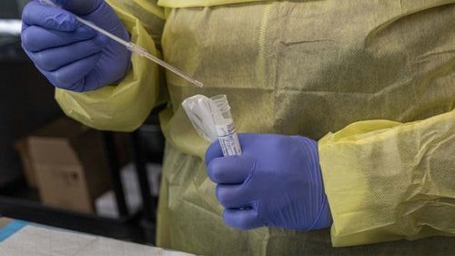 Хавайд арлаасаа огт холдоогүй хүнээс омикрон штаммын халдвар илэрчээ